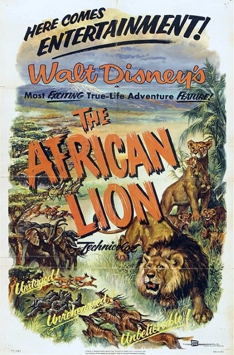Original theatrical release poster for Walt Disney's The African Lion