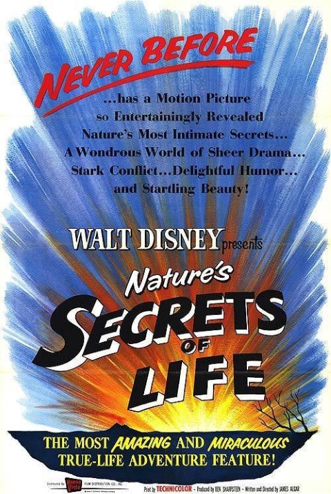 Original theatrical release poster for Walt Disney's Secrets Of Life