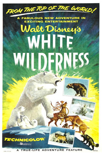 Original theatrical poster for Walt Disney's White Wilderness