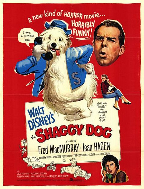 Original theatrical release poster for Walt Disney's The Shaggy Dog