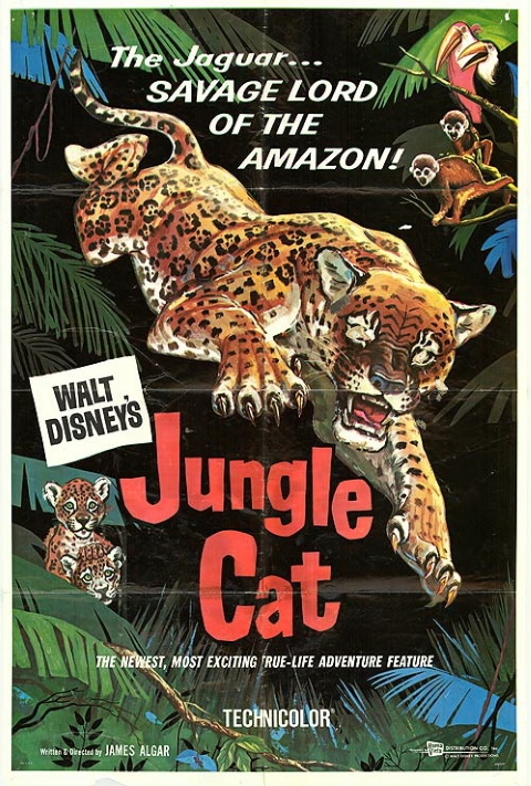 Original theatrical release poster for Walt Disney's Jungle Cat