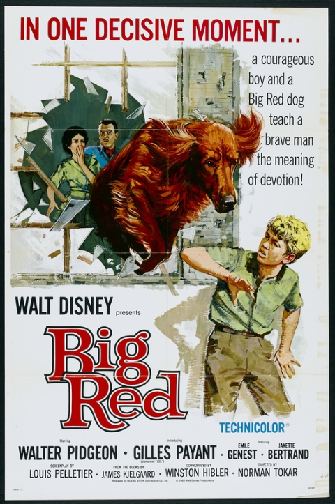 Original theatrical release poster for Walt Disney's Big Red