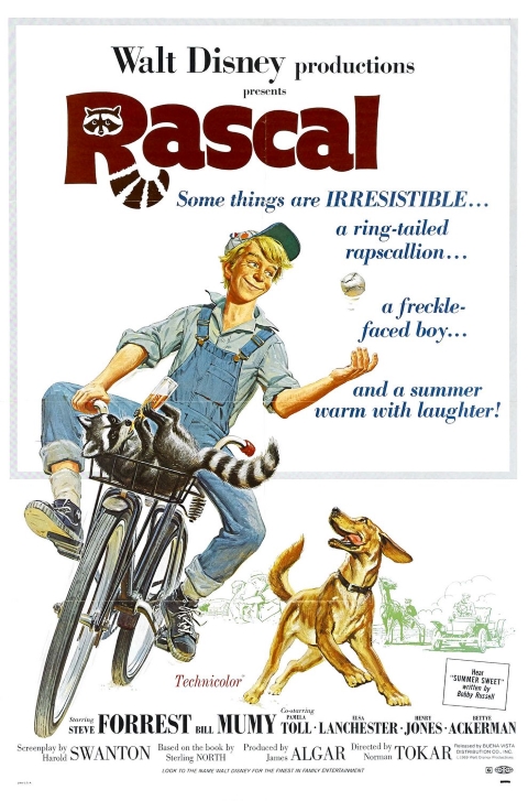 Original theatrical release poster for Walt Disney's Rascal